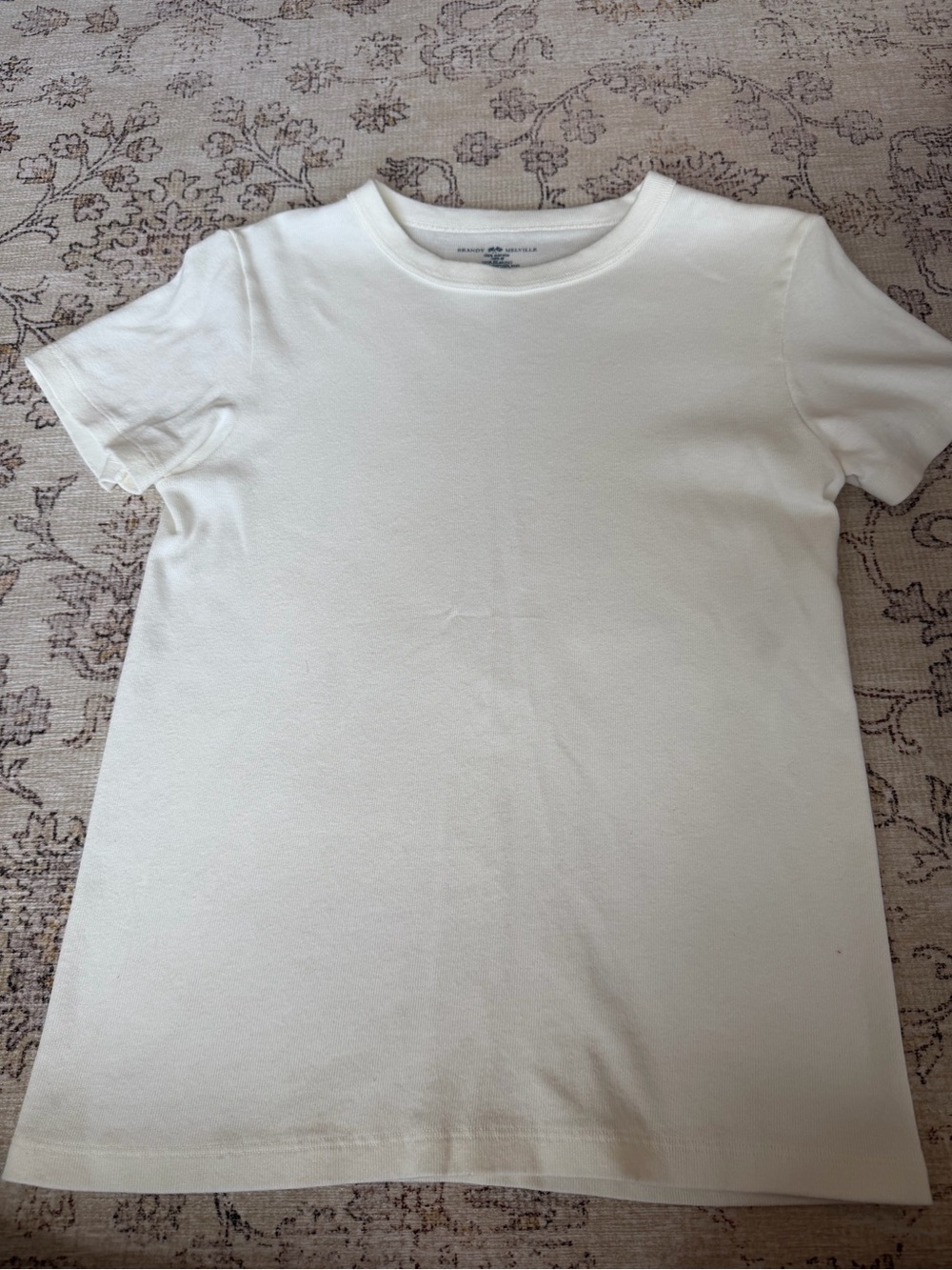 Brandy Melville White Crewneck T-Shirt